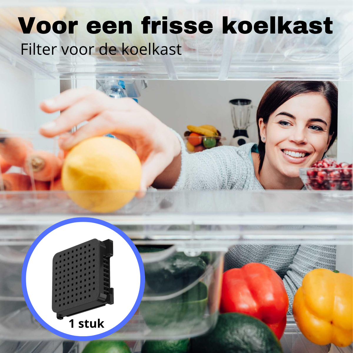 Frissekoelkast.png